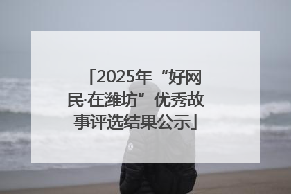 2025年“好网民·在潍坊”优秀故事评选结果公示