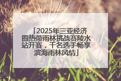 2025年三亚经济圈热带雨林挑战赛陵水站开赛，千名选手畅享滨海雨林风情