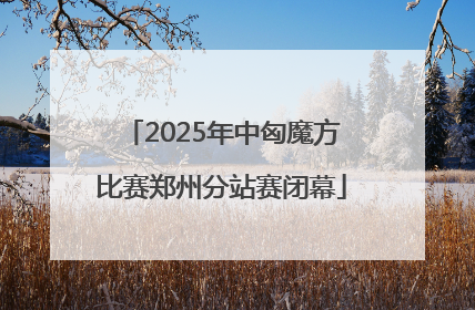2025年中匈魔方比赛郑州分站赛闭幕