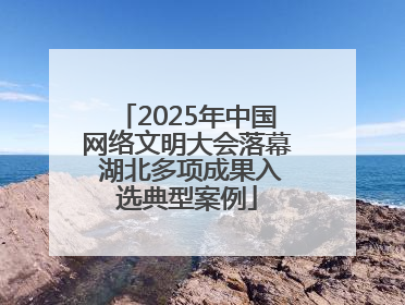 2025年中国网络文明大会落幕 湖北多项成果入选典型案例