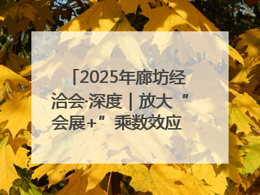 2025年廊坊经洽会·深度｜放大“会展+”乘数效应 打造消费新场景