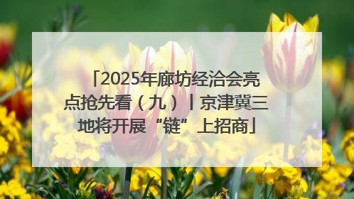 2025年廊坊经洽会亮点抢先看（九）丨京津冀三地将开展“链”上招商