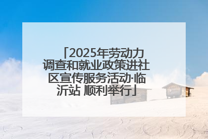 2025年劳动力调查和就业政策进社区宣传服务活动·临沂站 顺利举行