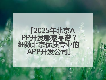 2025年北京APP开发哪家靠谱？细数北京优质专业的APP开发公司