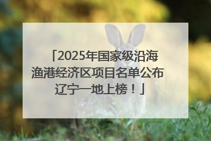 2025年国家级沿海渔港经济区项目名单公布 辽宁一地上榜！
