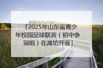 2025年山东省青少年校园足球联赛（初中争冠组）在潍坊开赛