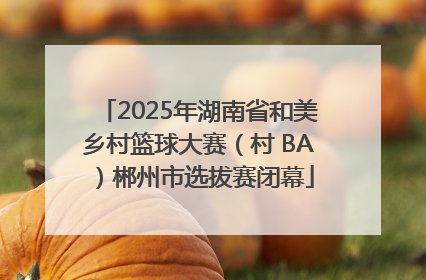 2025年湖南省和美乡村篮球大赛（村 BA）郴州市选拔赛闭幕