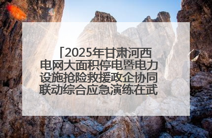 2025年甘肃河西电网大面积停电暨电力设施抢险救援政企协同联动综合应急演练在武威成功举行