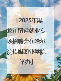 2025年黑龙江留省就业专场招聘会在哈尔滨传媒职业学院举办