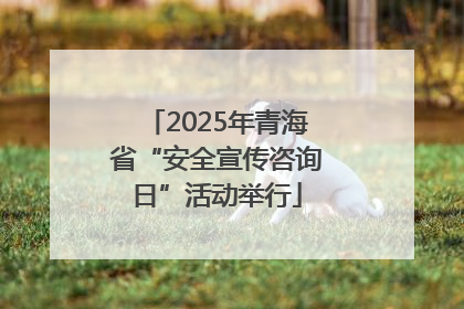 2025年青海省“安全宣传咨询日”活动举行