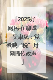 2025好网民·在聊城｜吴聿晟：党徽映“税”月 网播传政声