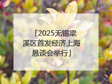 2025无锡梁溪区首发经济上海恳谈会举行