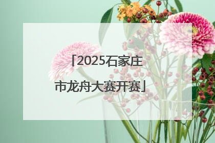 2025石家庄市龙舟大赛开赛