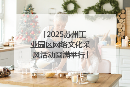 2025苏州工业园区网络文化采风活动圆满举行