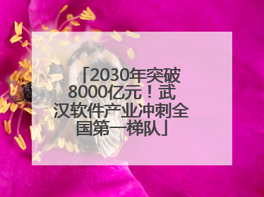 2030年突破8000亿元！武汉软件产业冲刺全国第一梯队