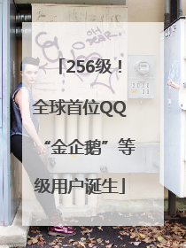 256级！全球首位QQ“金企鹅”等级用户诞生