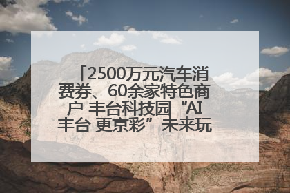2500万元汽车消费券、60余家特色商户 丰台科技园“AI丰台 更京彩”未来玩家市集活动正式开幕