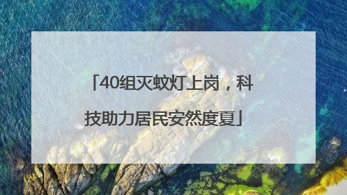 40组灭蚊灯上岗，科技助力居民安然度夏