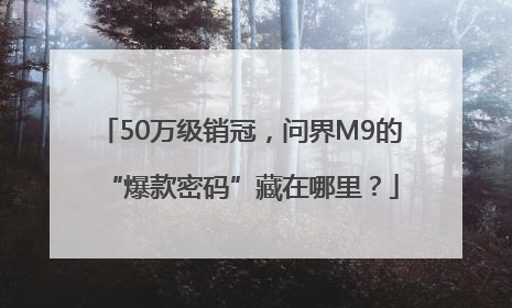 50万级销冠，问界M9的“爆款密码”藏在哪里？