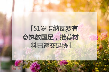 51岁卡纳瓦罗有意执教国足，推荐材料已递交足协