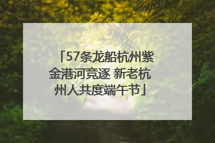 57条龙船杭州紫金港河竞逐 新老杭州人共度端午节