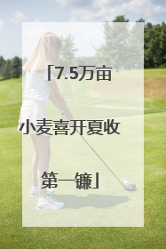 7.5万亩小麦喜开夏收第一镰