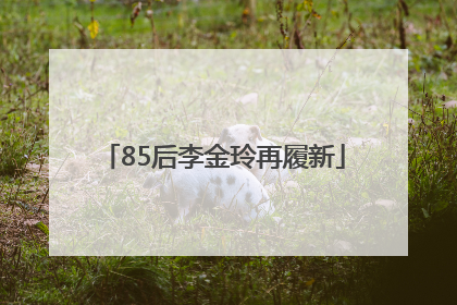 85后李金玲再履新