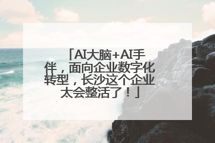 AI大脑+AI手伴，面向企业数字化转型，长沙这个企业太会整活了！