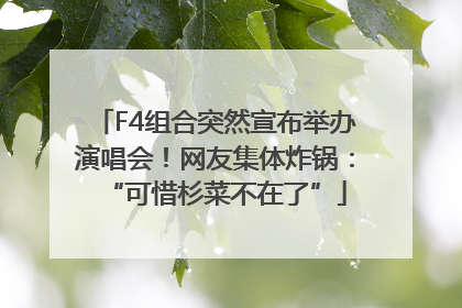 F4组合突然宣布举办演唱会！网友集体炸锅：“可惜杉菜不在了”